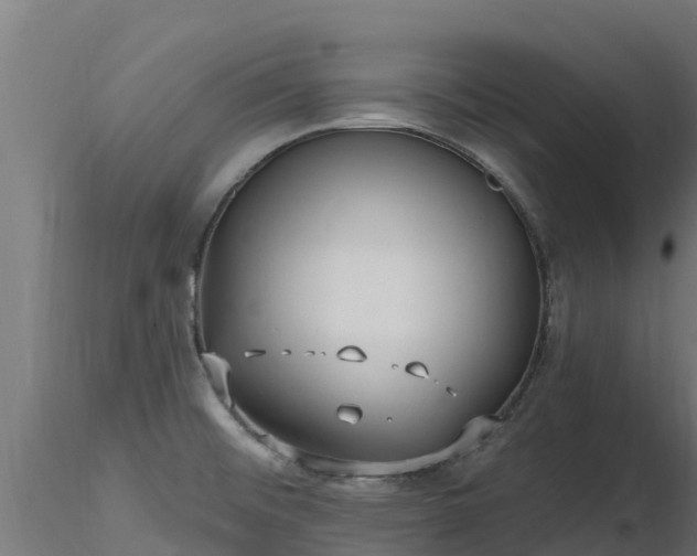 X0000116891476200912291253