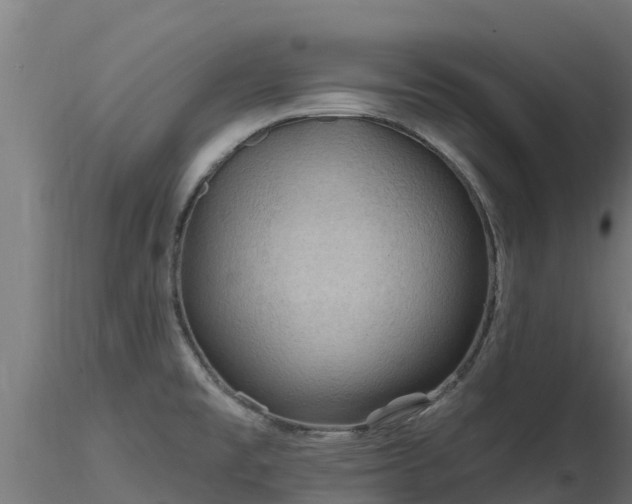 X0000116891477200912291253