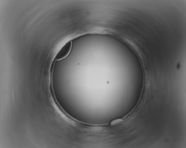 X0000116891479200912291253
