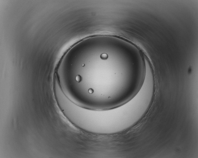 X0000116891480200912291253