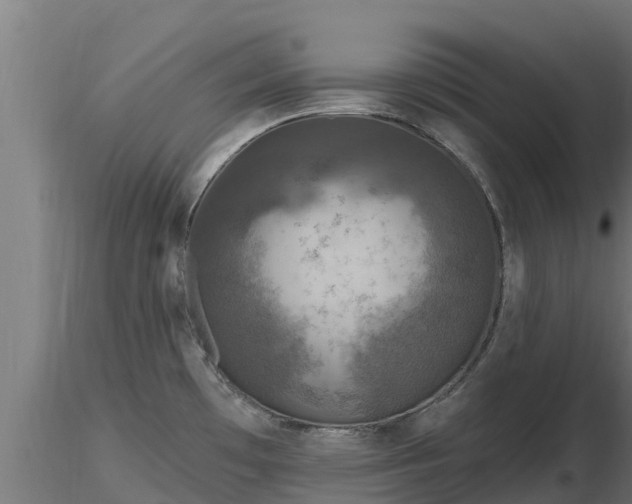 X0000116891481200912291253