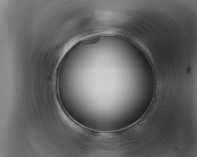 X0000116891483200912291253
