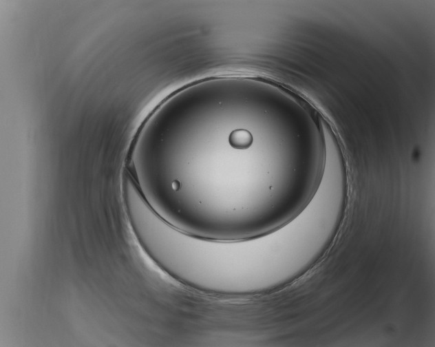 X0000116891484200912291253