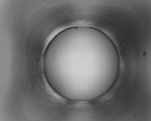 X0000116891486200912291253