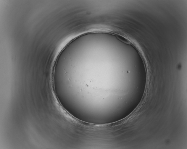 X0000116891488200912291253