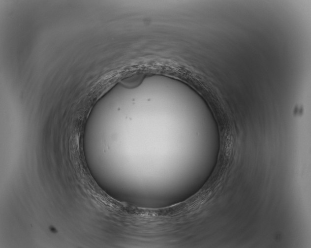 X0000116891489200912291252