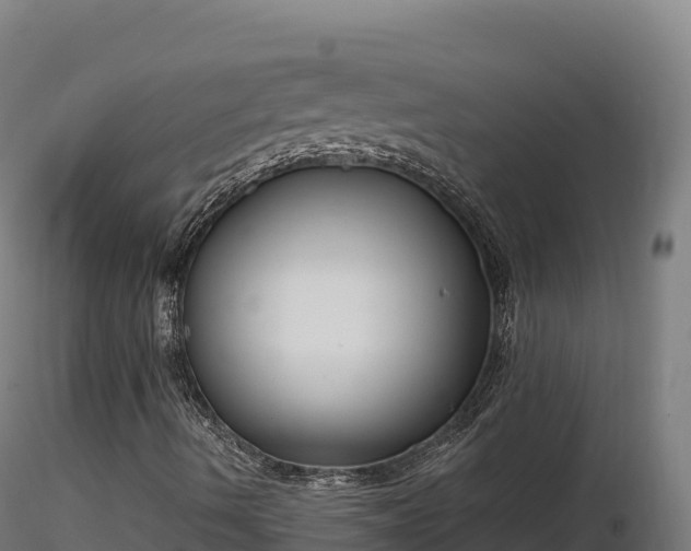 X0000116891490200912291252