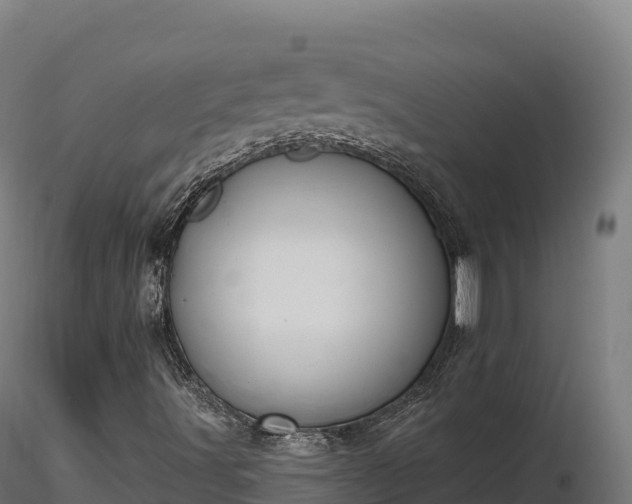 X0000116891491200912291252