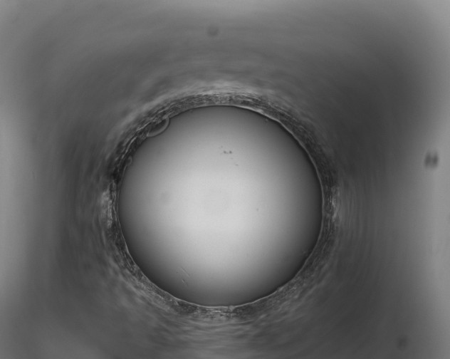 X0000116891493200912291252