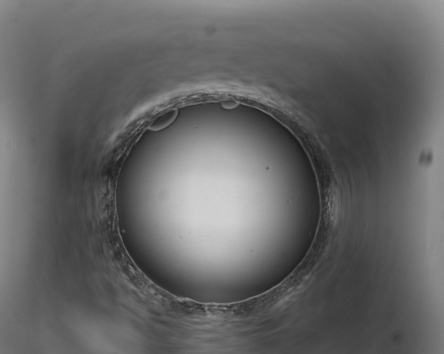 X0000116891494200912291252