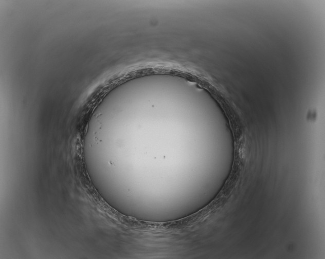 X0000116891495200912291252