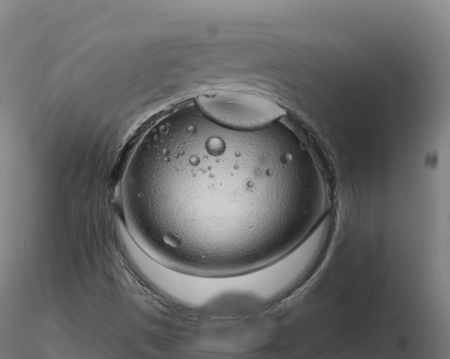 X0000116891497200912291252