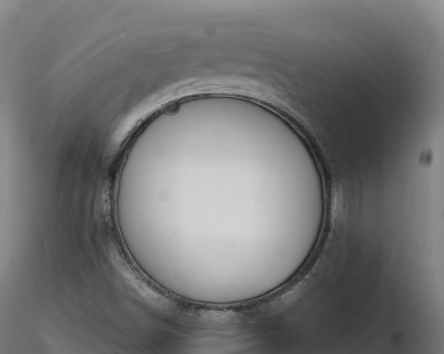 X0000116891498200912291252