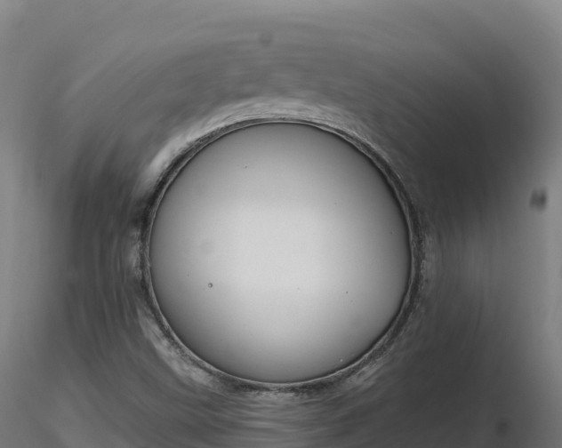 X0000116891499200912291252