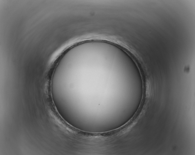 X0000116891502200912291252