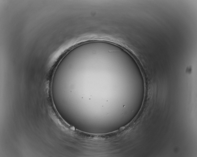 X0000116891503200912291252