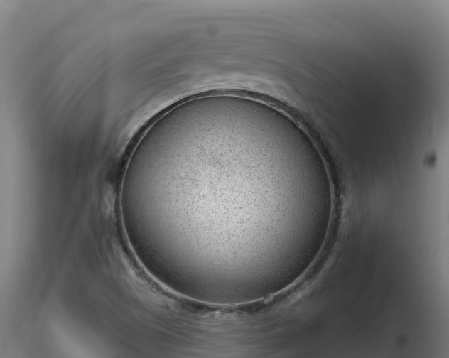 X0000116891505200912291252