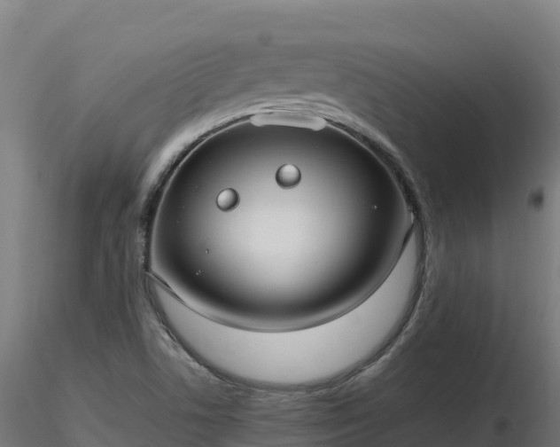 X0000116891506200912291252