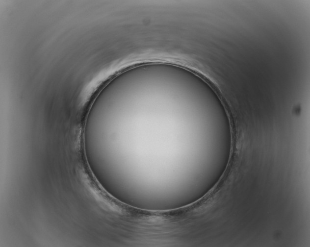 X0000116891507200912291252