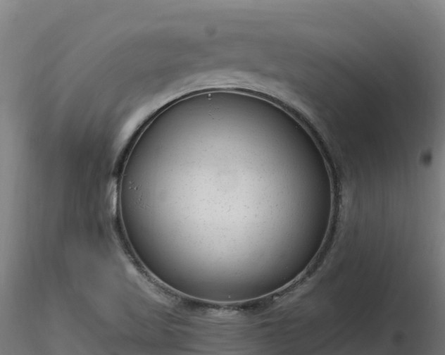 X0000116891509200912291252