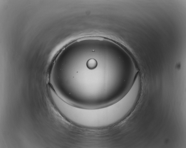 X0000116891510200912291252