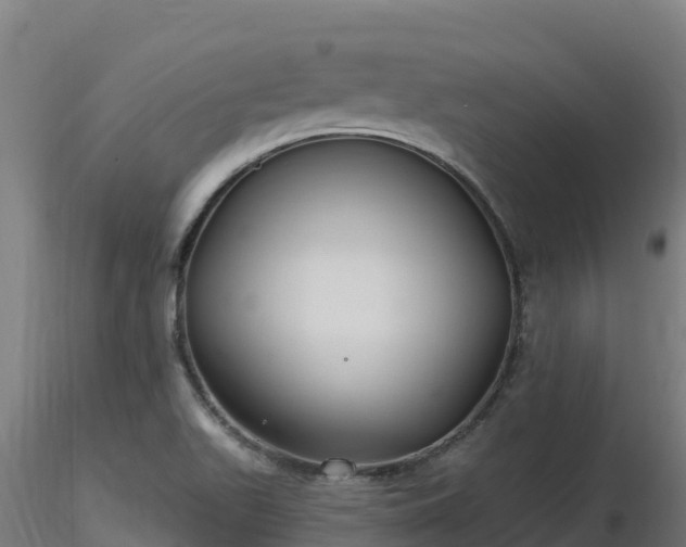 X0000116891511200912291252