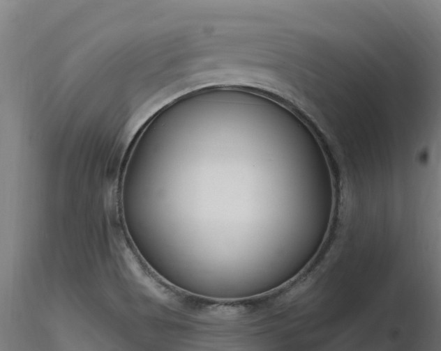 X0000116891513200912291252