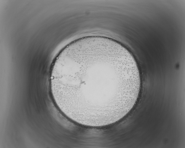 X0000116891514200912291252