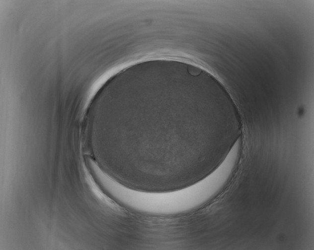 X0000116891515200912291252