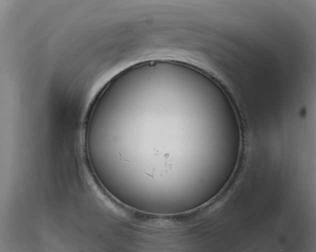X0000116891517200912291252