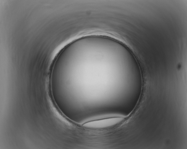 X0000116891518200912291252