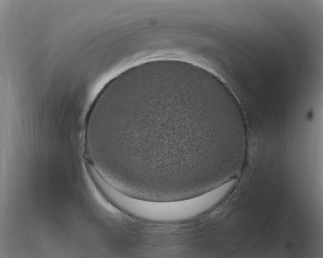 X0000116891519200912291252