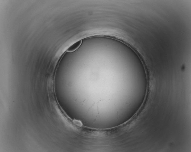 X0000116891521200912291252