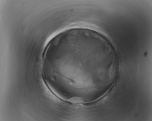 X0000116891522200912291252