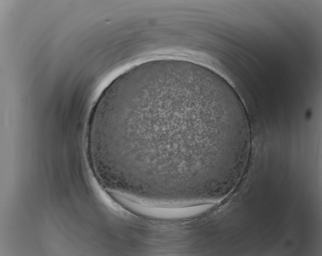 X0000116891523200912291252