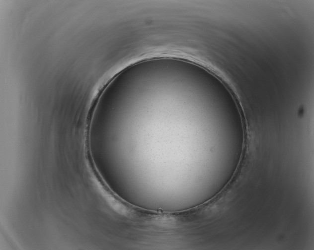 X0000116891525200912291252