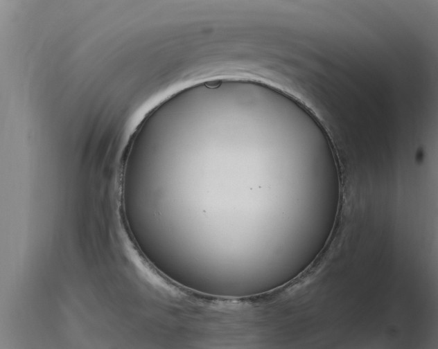 X0000116891526200912291252