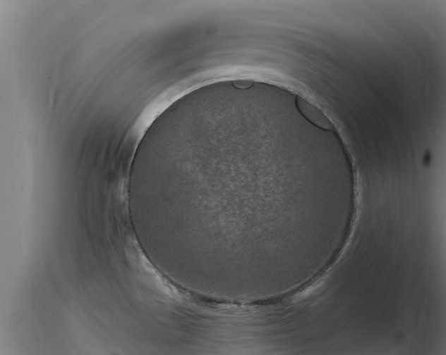 X0000116891529200912291252
