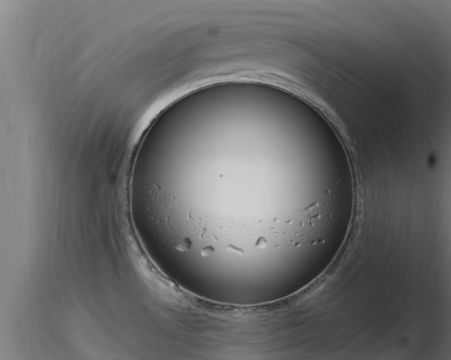 X0000116891530200912291252