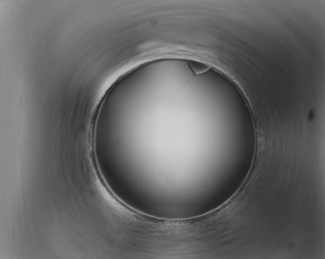 X0000116891531200912291252