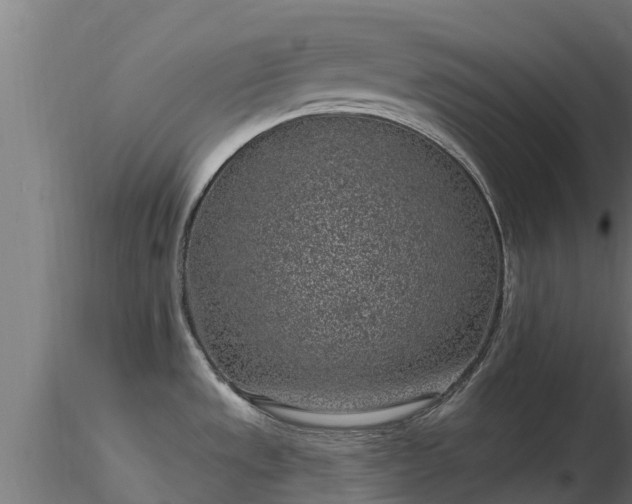 X0000116891533200912291252