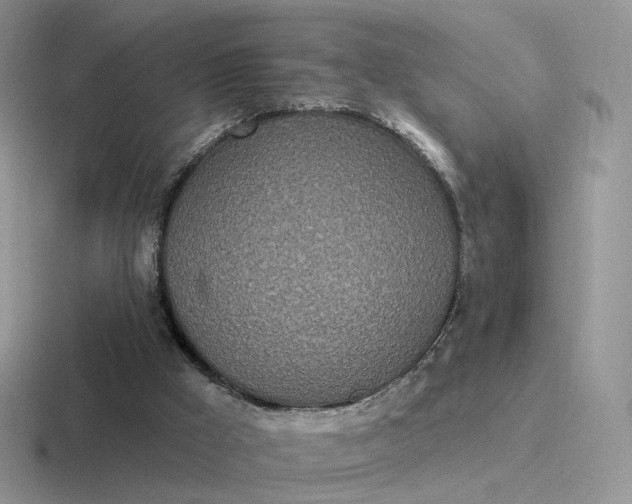 X0000116890009201001051533