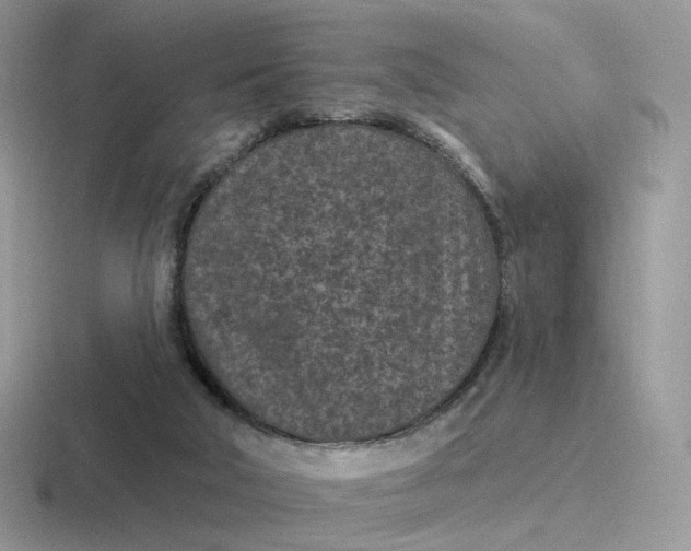 X0000116890018201001051533