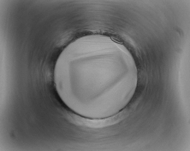 X0000116890039201001051532