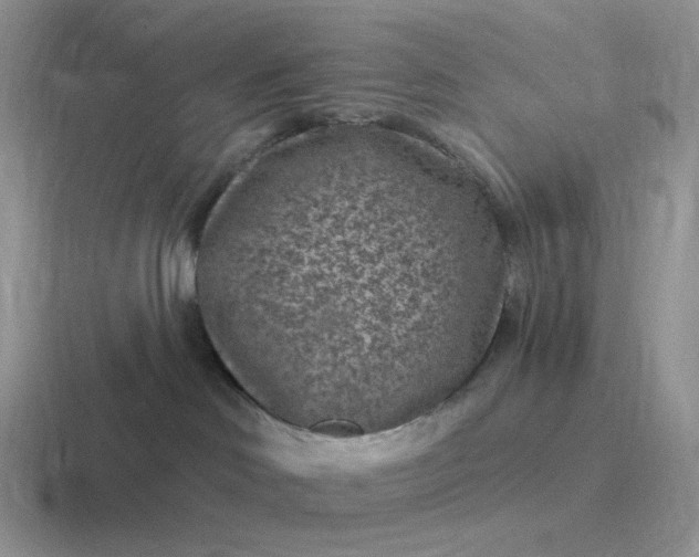 X0000116890046201001051532