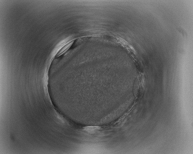 X0000116890051201001051532