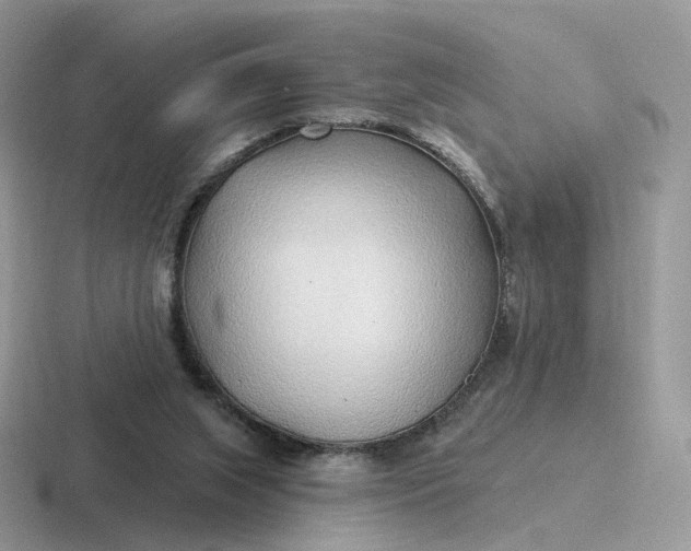 X0000116890063201001051532