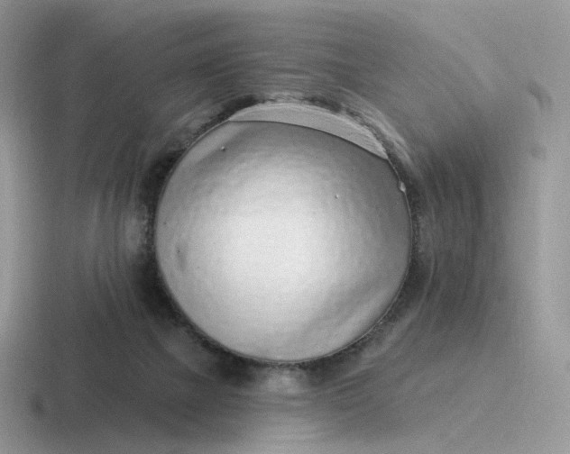 X0000116890073201001051532