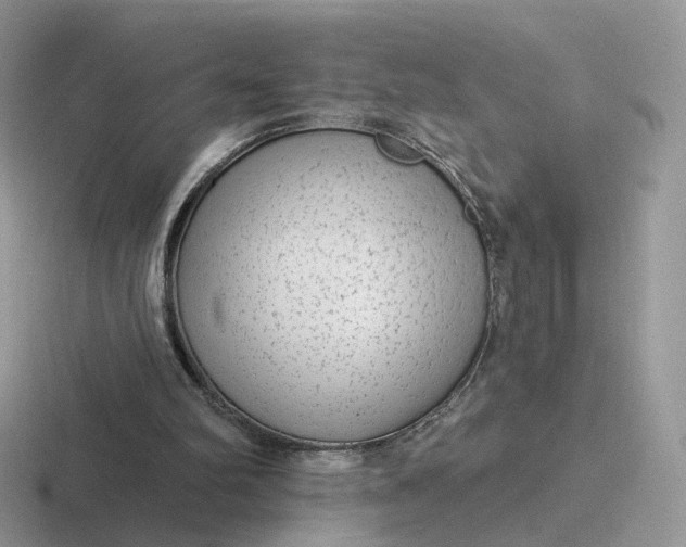 X0000116890102201001051531