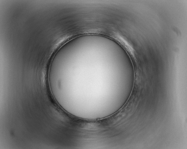 X0000116890107201001051531